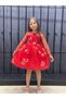Girl's Dress Princess Red Floral Girl's Fluffy Evening Dress Girl's Birthday Dress (1-8 YEARS) - 5