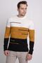 60200 Seasonal Men's Knitwear Sweater