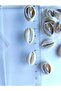 Cut Annulus / 50 Pieces / 1 ~ 2 cm - 2