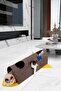 Mito Cat Tunnel Large Size Play Tunnel 100 Cm Cat House Kennel - 2