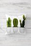 Cactus Patterned Hidden Zippered Throw Pillow Cover Sofa Pillow Cover Set (4pcs) - 5