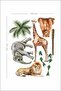 Wildlife Kids Room Wall Sticker - 3