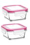 Glass Locked Storage Container Set of 2 Breakfast Frs227 Pink