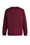 Burgundy Regular/Normal Cut Fleece/Warm Sweatshirt Tmnaw23Sw00189 - 8