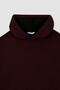 Regular Fit Hooded Long Sleeve Sweatshirt Tunic Z8255az22au - 2