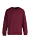 Burgundy Regular/Normal Cut Fleece/Warm Sweatshirt Tmnaw23Sw00189 - 6