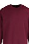 Burgundy Regular/Normal Cut Fleece/Warm Sweatshirt Tmnaw23Sw00189 - 7
