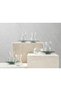 Flair Glass 12 Piece Tea Set 160 Ml Green - 2