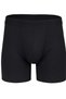 Men's Smoked Regular Leg Thermal Boxers