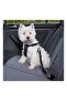 Black Cat Dog Car Seat Belt - Car Collar Accessories - 2
