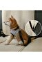 Black Cat Dog Car Seat Belt - Car Collar Accessories - 4