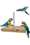 Spiked Fruit Vegetable Hanging Bird, Hamster Hanging Perch, Bird Food Holder, Natural Wooden Bird Cage - 3