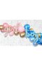 Boy or Girl Party - Gender Party Balloon Chain - 100 Balloons - Pump - 5 Mt Chain Apparatus - 2