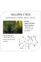 Anti-Blemish and Freckle White and Bright Appearance Niacinamide Serum and Cream 2 Pieces - 3