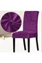 Silk Velvet Chair Cover, Chair Cover, Elastic, Standard 1 Piece Velvet Chair Cover