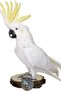 Natural 3 Pieces Circular Bird Cage Platform, Natural Round Wooden Stand Platform Budgie - 4