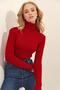 Burgundy Turtleneck Ribbed Knit Sweater Alc-X9381 - 3