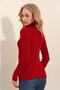 Burgundy Turtleneck Ribbed Knit Sweater Alc-X9381 - 4