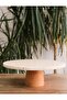 Natural Marble Cake Stand, Cake Stand with Wooden Legs, Marble Presentation Cup, Marble Cheese Plate 28 Cm - 4