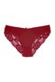 3-Piece Cotton Women's Panties with Tulle on the Front and Lace Detail on the Back - 4