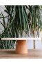 Natural Marble Cake Stand, Cake Stand with Wooden Legs, Marble Presentation Cup, Marble Cheese Plate 28 Cm - 5