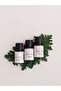 Geranium Essential Oil 10 ml - 2