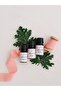 Geranium Essential Oil 10 ml - 3