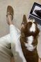 Oslo Cork Sole Suede Genuine Fur Slippers - 3
