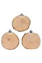 Natural Oak Set of 3 Round Hanging Wooden Rotating Platform Perch Standing Platform For Small Animals