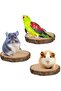 Natural Oak Set of 3 Round Hanging Wooden Rotating Platform Perch Standing Platform For Small Animals - 3