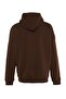 Brown Oversize/Wide Cut Hooded Inside Fleece/Warm Unisex Sweatshirt Tmnaw22Sw1462 - 8