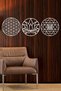 Sacred Geometry 3'L Set Sri Yantra, Lotus Flower, Flower of Life Wall Decor, Painting - 5