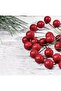 Mini Stringed Berry Ornament Red 20 Pieces - 7