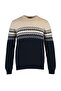 Navy Blue Slim Fit Woolen Bicycle Collar Panel Jacquard Knitwear Sweater Tmnaw21Kz0738 - 6
