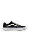 Old Skool Unisex Casual Shoes Vn000d3hy281 Black