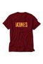 Lebron James Text Gray T-Shirt