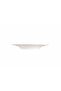 Palms Flat Plate 16cm Set of 4 04alm005178 - 2