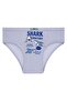 Boy's Panties Pack of 5 Mixed Color Printed Panties - 4