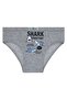 Boy's Panties Pack of 5 Mixed Color Printed Panties - 7