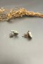 Women's Starfish and Oyster Figured Nail Earrings - 3