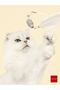 ''lucky Cat'' Extendable and Retractable Laser Lighted Cat Playing Rod - Green - - 7