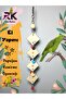 4-Piece Parrot Bird Wooden Nibbling Toy