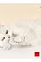 ''lucky Cat'' Extendable and Retractable Laser Lighted Cat Playing Rod - Green - - 4