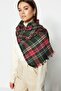 Green Soft Textured Plaid Scarf TWOAW20AT0040 - 3
