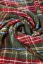 Green Soft Textured Plaid Scarf TWOAW20AT0040 - 6