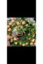 Orange Rose Circle