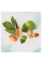 Repairing Hair Mask Moroccan Argan Oil 250 Mll Kochak Cosmetics - 3