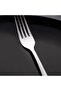 Sahra 30 Piece Fork Spoon Set - 5
