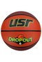 Dropout6.1 6 No Minge de baschet