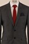 Regular Fit Takım Elbise - 4